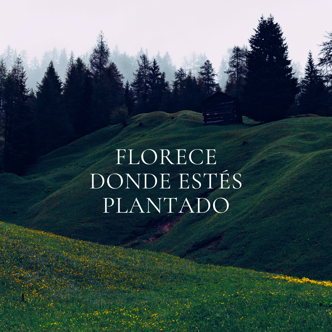 Logo de Epsilon S.A.